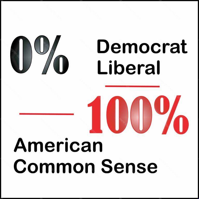100% American, 100% Common Sense Direct to Film (DTF) Heat Transfer P-233