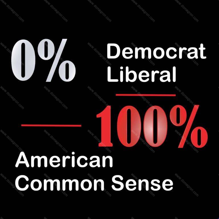 100% American, 100% Common Sense Direct to Film (DTF) Heat Transfer P-233
