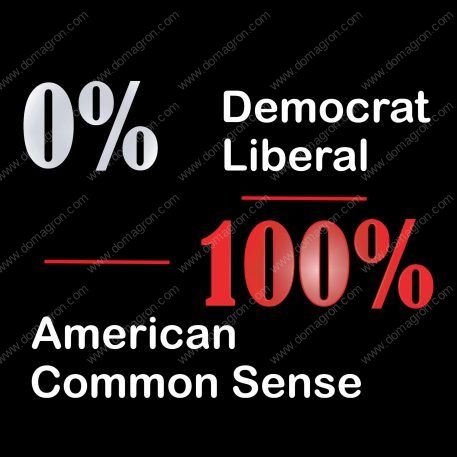 100% American, 100% Common Sense  Metal Photo P-233