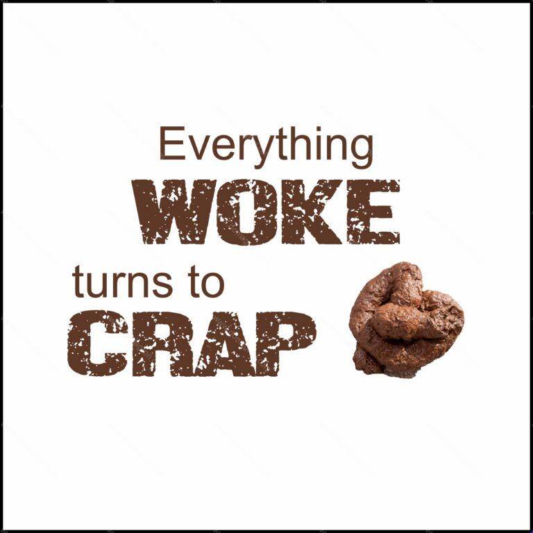 Everything Woke Turns to Crap Graphical Shirt Direct to Film (DTF) Heat Transfer W-449