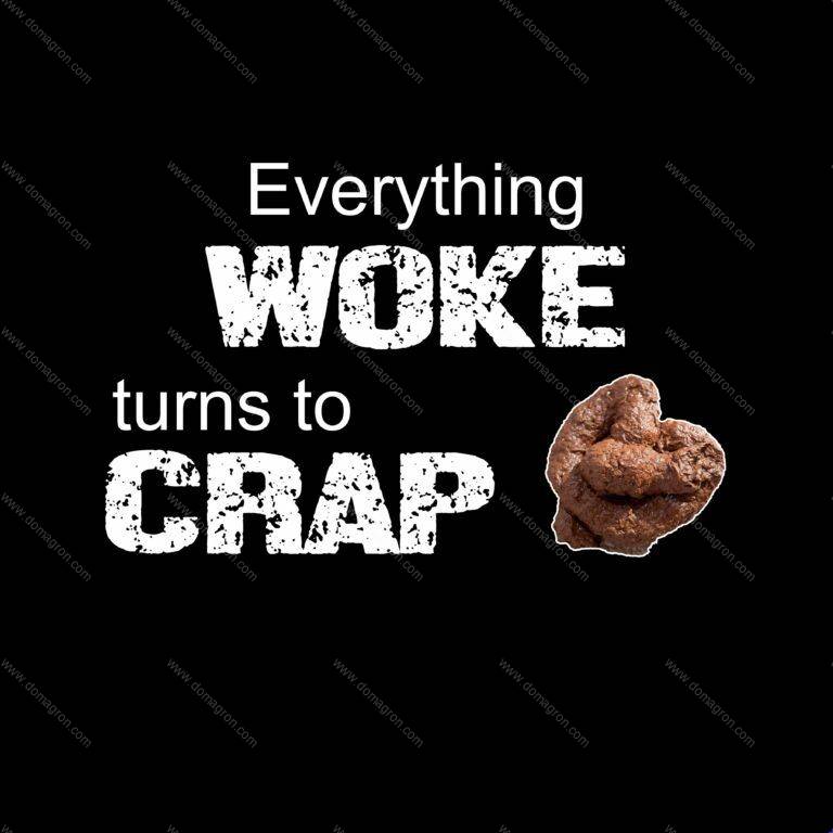 Everything Woke Turns to Crap Graphical Shirt Direct to Film (DTF) Heat Transfer W-449