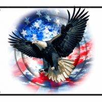 Free American Eagle License Plate