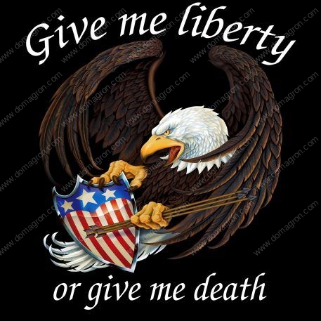 Give Me Liberty Or Give Me Death Metal Photo U-46