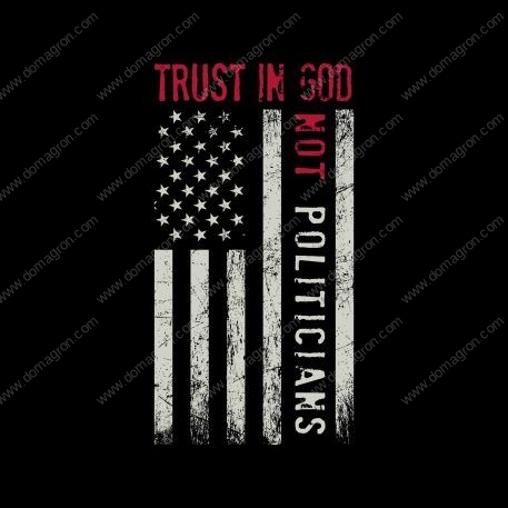 Trust in God Not Politicians Metal Photo P-197