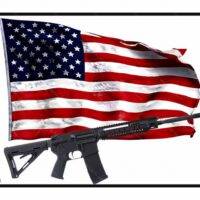 Flag and AR-15 These Colors Don't Run They Reload License Plate