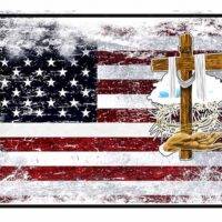 Trust in God Not Politicians License Plate