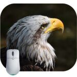 American Bald Eagle Mouse Pad