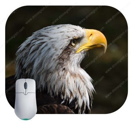 American Bald Eagle Mouse Pad