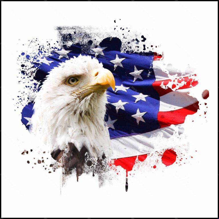Eagle And Flag Direct to Film (DTF) Heat Transfer U-37