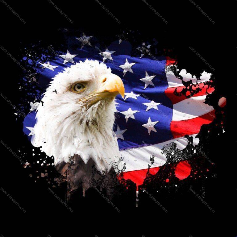 Eagle And Flag Direct to Film (DTF) Heat Transfer U-37
