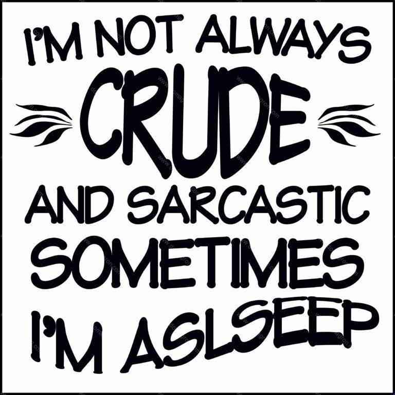 I'm Not Always Crude And Sarcastic Sometimes I'm Asleep Direct to Film (DTF) Heat Transfer S-105