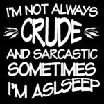 I'm Not Always Crude And Sarcastic Sometimes I'm Asleep  Metal Photo S-105