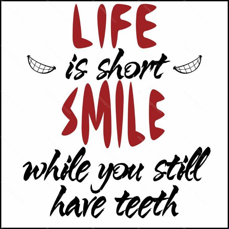 Life Is Short- Smile While You Have Teeth Direct to Film (DTF) Heat Transfer F-131