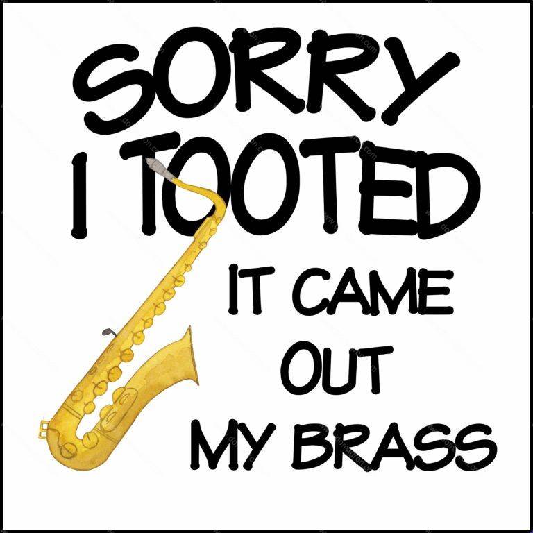 Sorry I Tooted It Came Out My Brass Direct to Film (DTF) Heat Transfer F-177