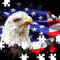 Eagle And Flag Jigsaw Puzzle