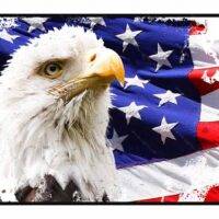 Eagle And Flag License Plate