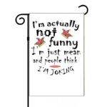 I'm Not Funny I'm Just Mean And People Think I Am Joking Garden Flag