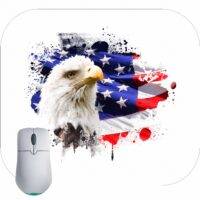 Eagle And Flag Mouse Pad