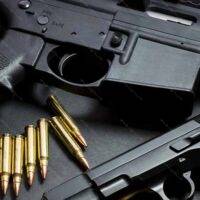 Rifle and Handgun License Plate