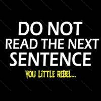 Do Not Read The Next Sentence You Little Rebel Direct to Film (DTF) Heat Transfer S-35