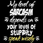 My Level Of Sarcasm Depends On Your Level Of Stupidity Metal Photo S-147