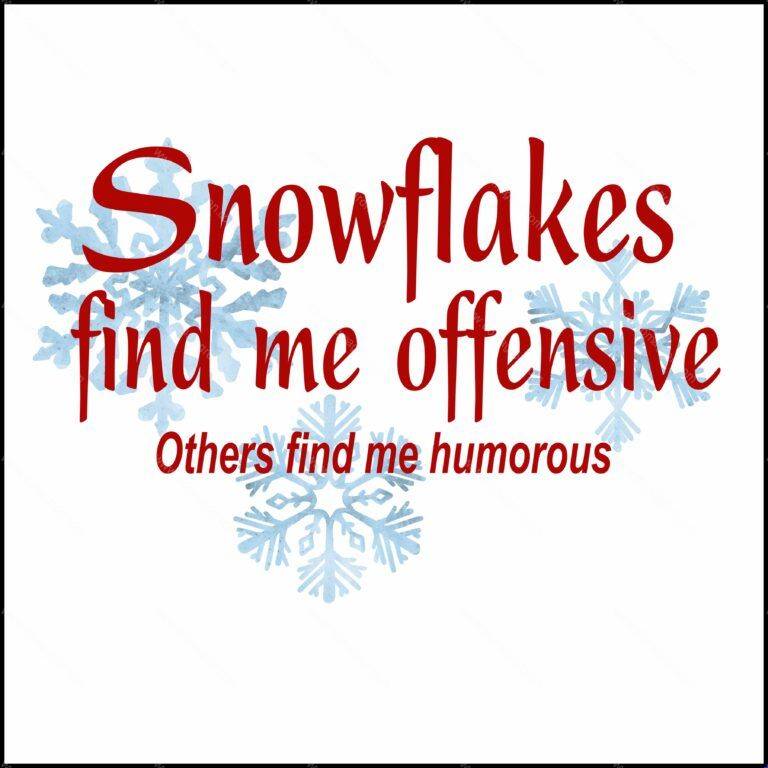 Snowflakes Find Me Insulting, Others Find Me Humorous Direct to Film (DTF) Heat Transfer W-178