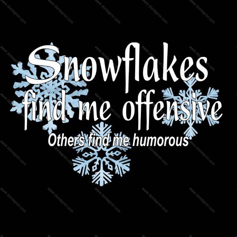 Snowflakes Find Me Insulting, Others Find Me Humorous Direct to Film (DTF) Heat Transfer W-178