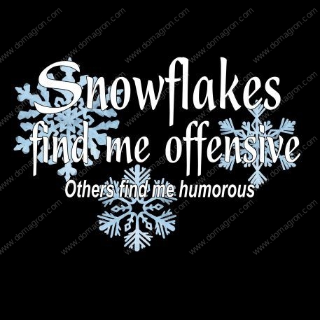 Snowflakes Find Me Insulting, Others Find Me Humorous Metal Photo W-178