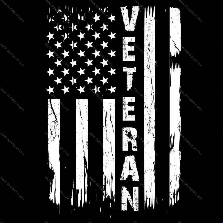 American Veteran Flag Direct to Film (DTF) Heat Transfer U-205