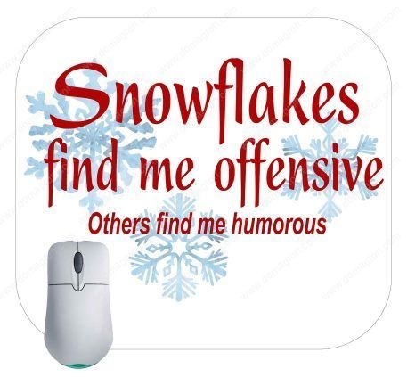 Snowflakes Find Me Insulting, Others Find Me Humorous Mouse Pad