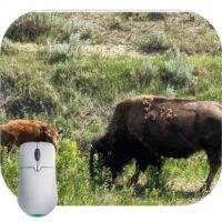 The Bison of Roosevelt National Park Mouse Pad