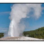 Yellowstone National Park Old Faithful License Plate