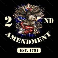 2nd Amendment Eagle Direct to Film (DTF) Heat Transfer N-1