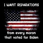 I Want Reparations From Every Moron That Voted For Biden Direct to Film (DTF) Heat Transfer B-93