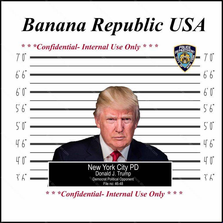 Trump Mugshot Direct to Film (DTF) Heat Transfer T-216