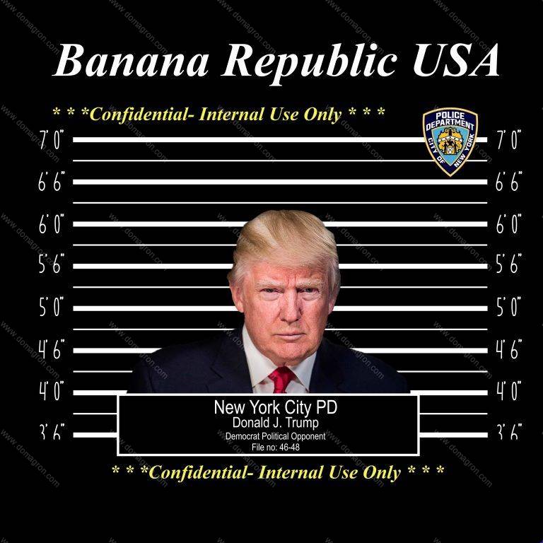 Trump Mugshot Direct to Film (DTF) Heat Transfer T-216