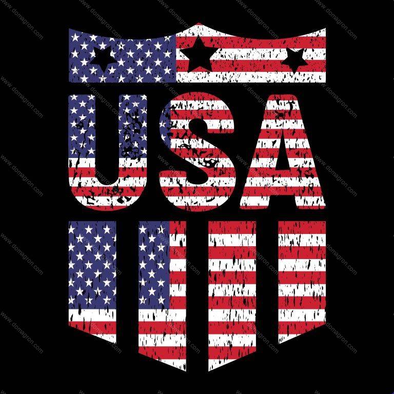 USA Shield Flag Direct to Film (DTF) Heat Transfer U-203