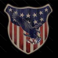 Eagle and Shield License Plate