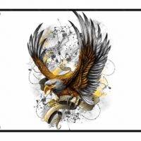 Landing Eagle License Plate
