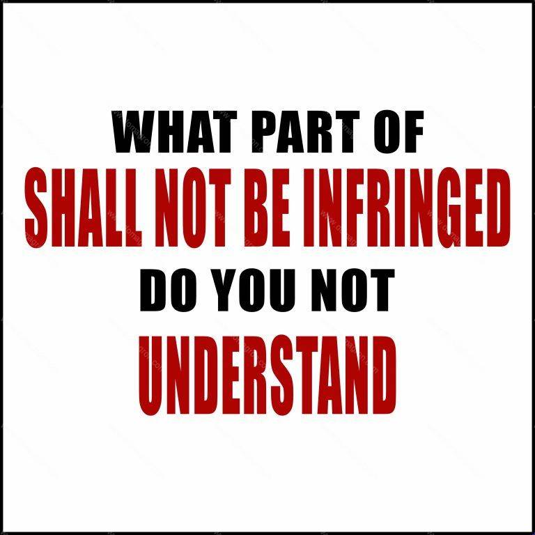 What Part of Shall Not Be Infringed Do You Not Understand Direct to Film (DTF) Heat Transfer N-231