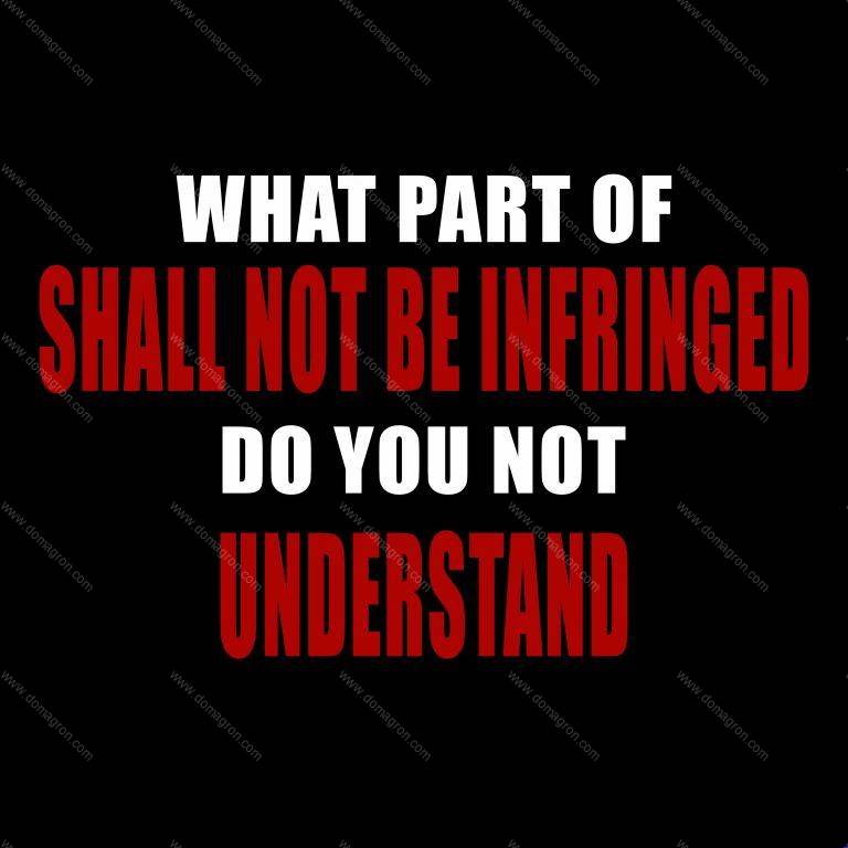 What Part of Shall Not Be Infringed Do You Not Understand Direct to Film (DTF) Heat Transfer N-231