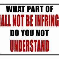 What Part of Shall Not Be Infringed Do You Not Understand License Plate
