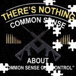 There's No Common Sense in Common Sense Gun Control Puzzle
