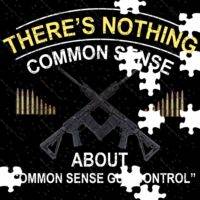 There's No Common Sense in Common Sense Gun Control Jigsaw Puzzle