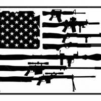 American Gun Flag License Plate