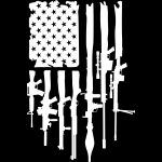 American Gun Flag Direct to Film (DTF) Heat Transfer N-304