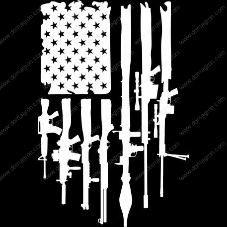 American Gun Flag Direct to Film (DTF) Heat Transfer N-304