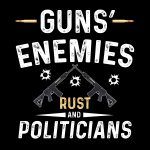 Guns' Enemies Rust and Politicians Metal Photo N-355