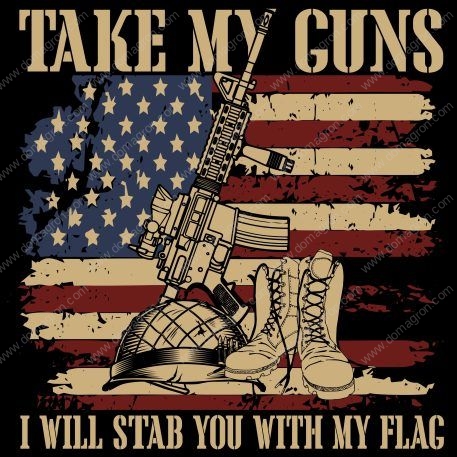 Take My Guns I'll Stab You With My Flag Metal Photo N-338