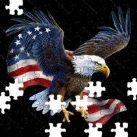 Eagle Landing Jigsaw Puzzle